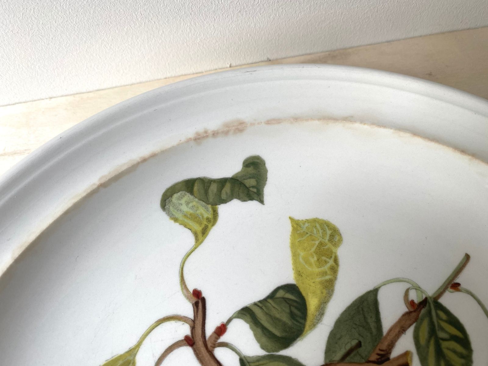 Large Pomona Portmeirion Plate By Susan William Ellis 1982, Vintage Botanical Dish Made In England photo 101.0