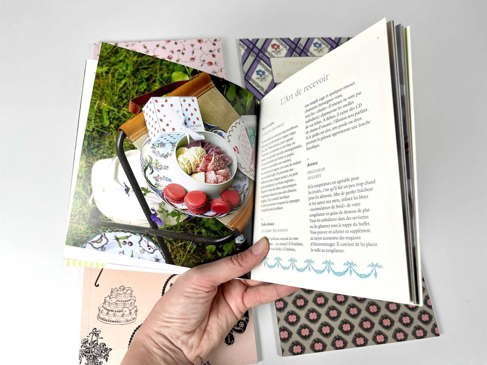 Laduree Box Of 10 Books "The Art Of Hosting" From 2011, Vintage French Cookbooks photo buy