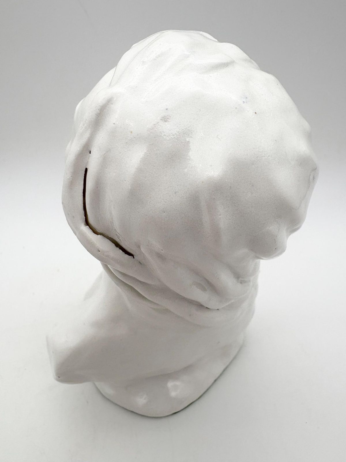 Vintage White Cast Plater Female Bust Sculpture, Modern Woman Head Statue, Medium Size Woman Figurine. photo buy