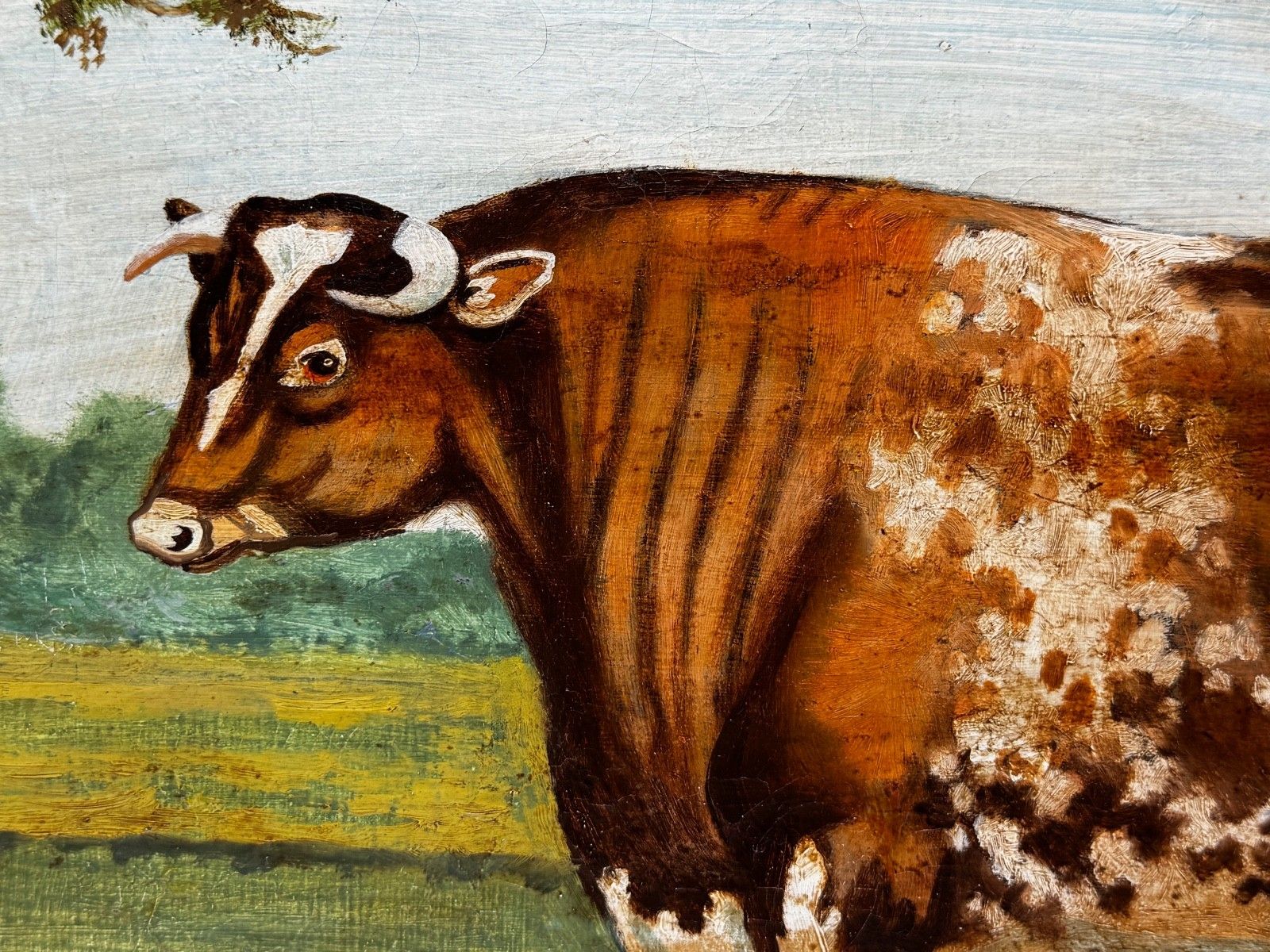 19th Century Oil Painting Prized Shorthorn Bull In The Manner Of William Ward photo buy