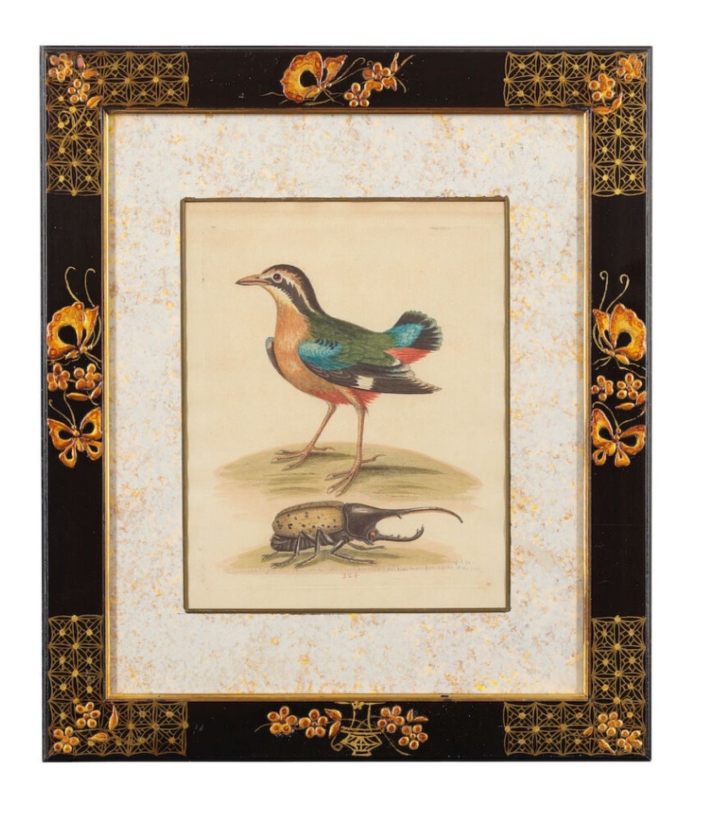25000.0 12 Antique 1740 George Edwards Hand Coloured Ornithological Engravings Of Birds photo