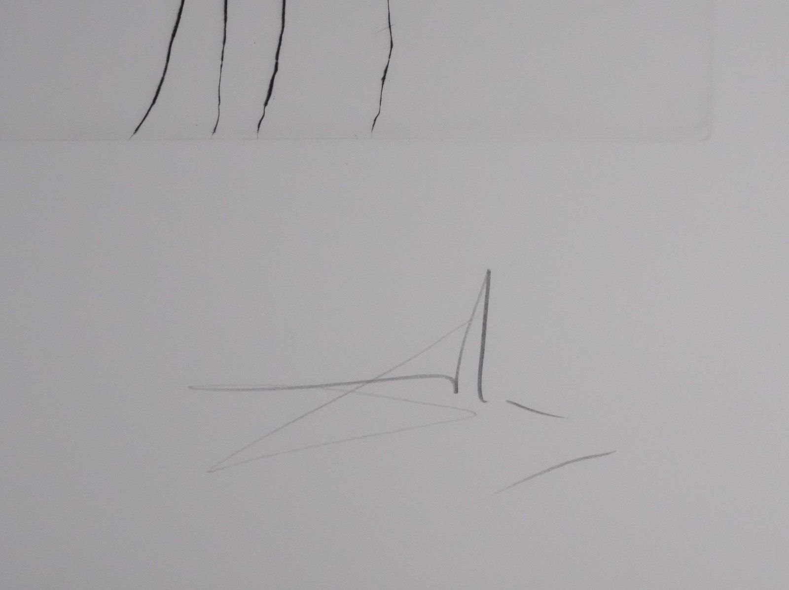 Salvador Dalí­Tribute To Leonardo Da Vinci, The Aeroplane   Original Handsigned Etching1975 photo furniture