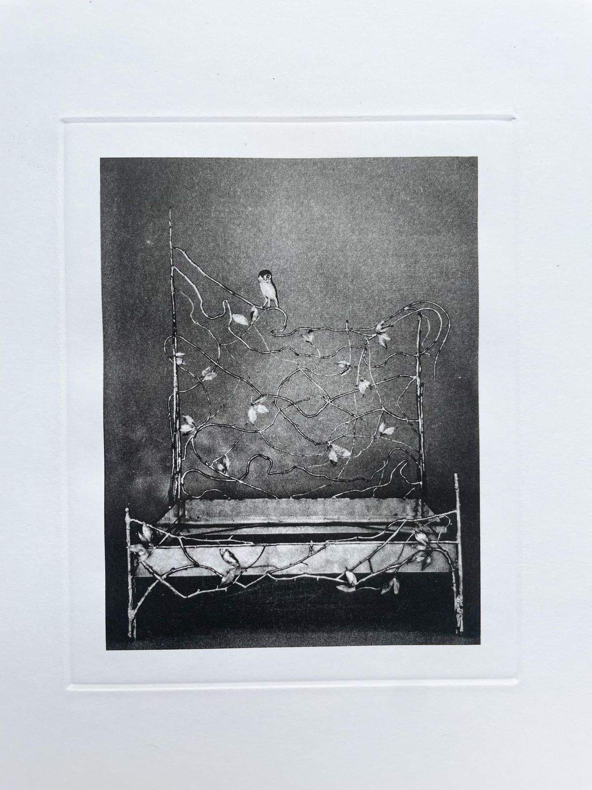 Claude Lalanneclaude Lalanne , Lit Bou, Heliogravure Print On Paper2004 photo buy