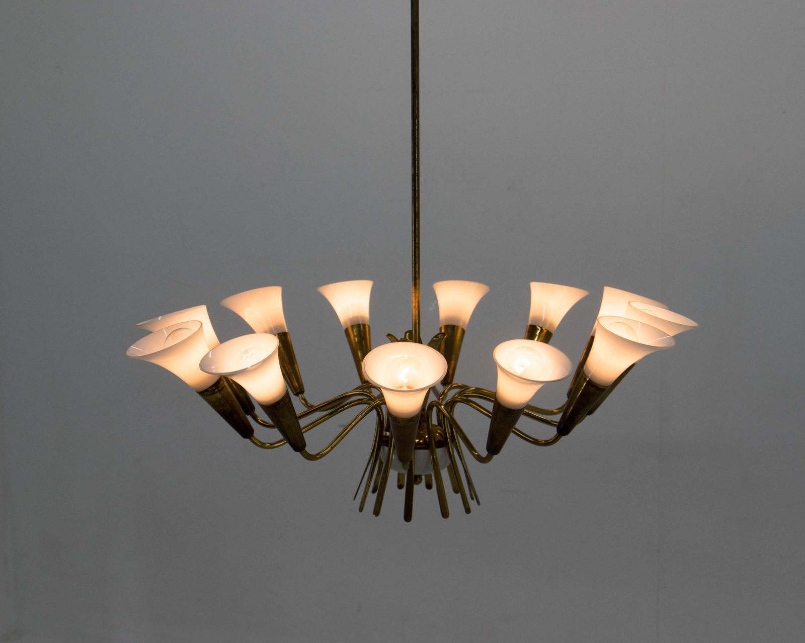 Rare Expo 58 Brussels Chandelier By Kamenicky Senov photo 3262.0