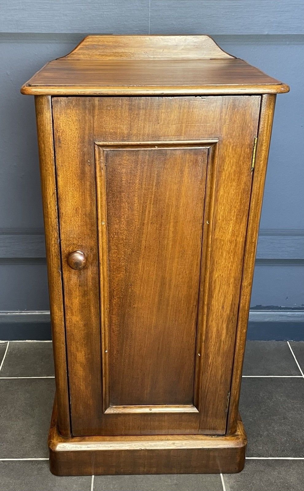 Victorian Antique Mahogany Bedside Cabinet Pot Cupboard Panelled Door