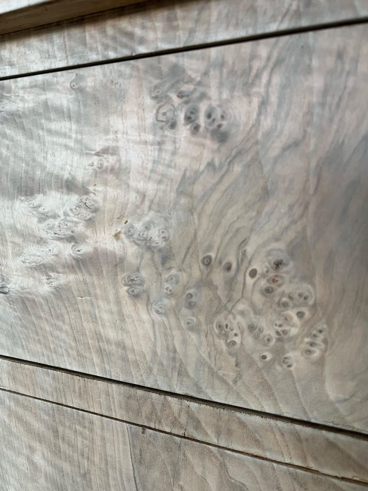 Furniture German Walnut Chest Of Drawers With Bookmatched Walnut Burl Book Matched Veneer photo
