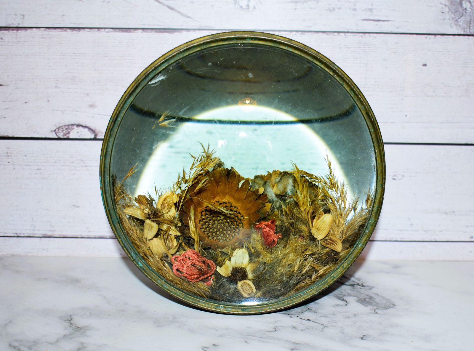 Victorian Botanical Diorama Of Bubble Glass With Dried Flower Display photo for sale