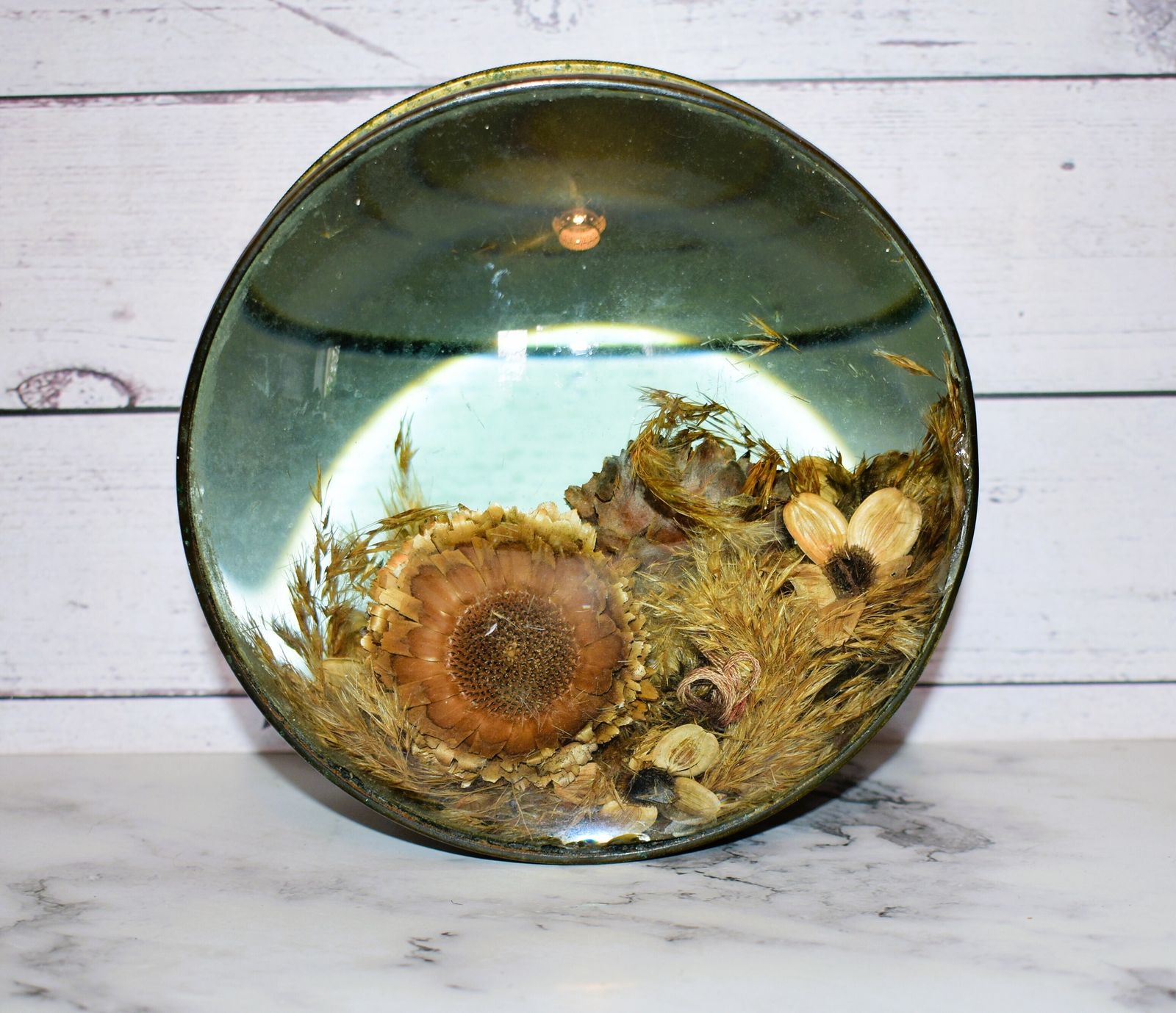 Victorian Botanical Diorama Of Bubble Glass With Dried Flower Display