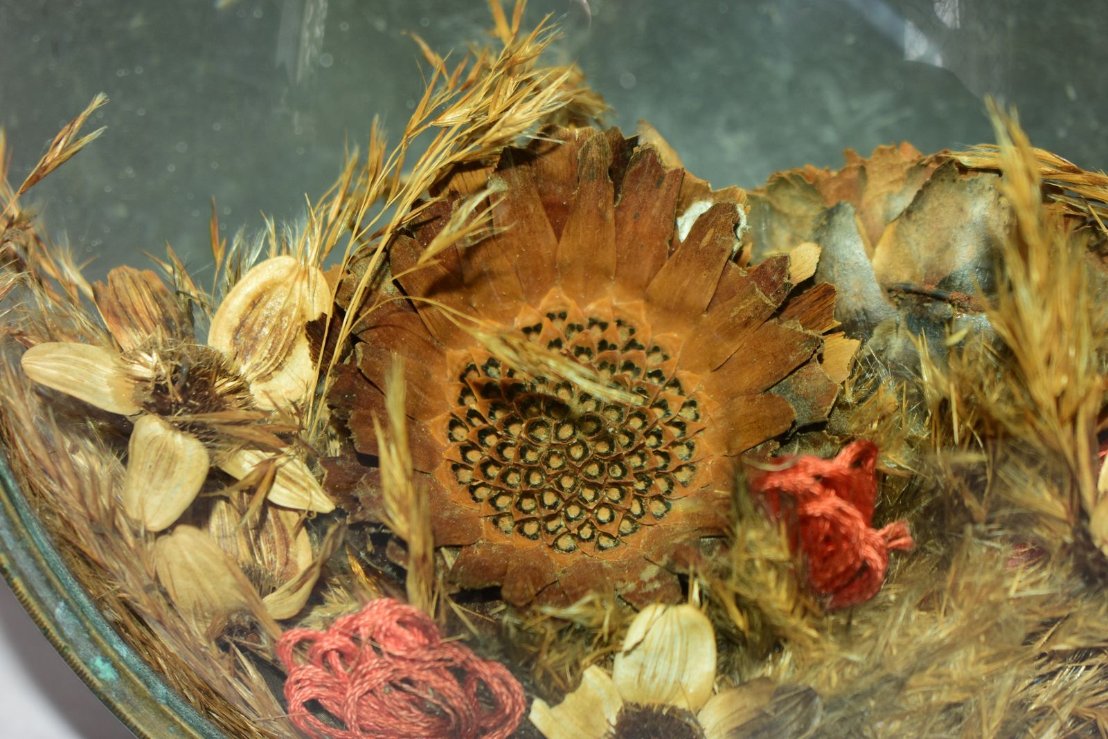 photo buy Victorian Botanical Diorama Of Bubble Glass With Dried Flower Display