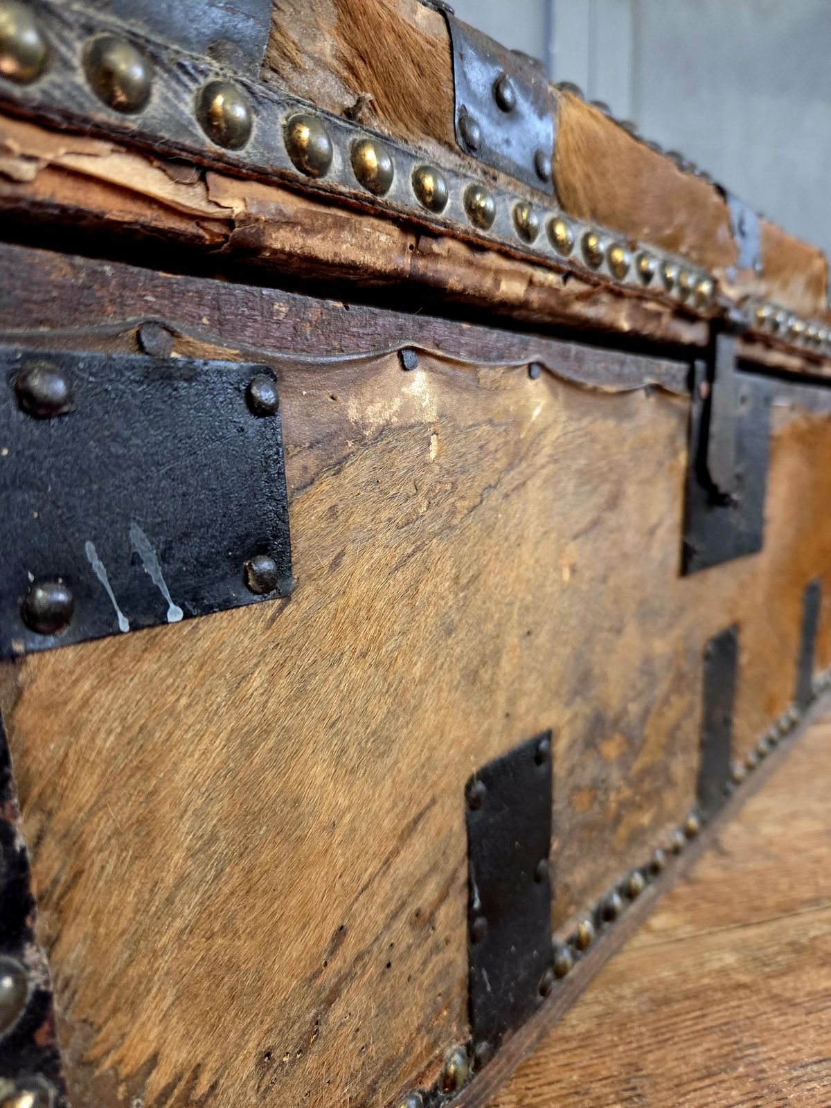Early 19th Century Georgian Hair On Hide Dome Top Travel Trunk   Chest C.1800 photo 295.0