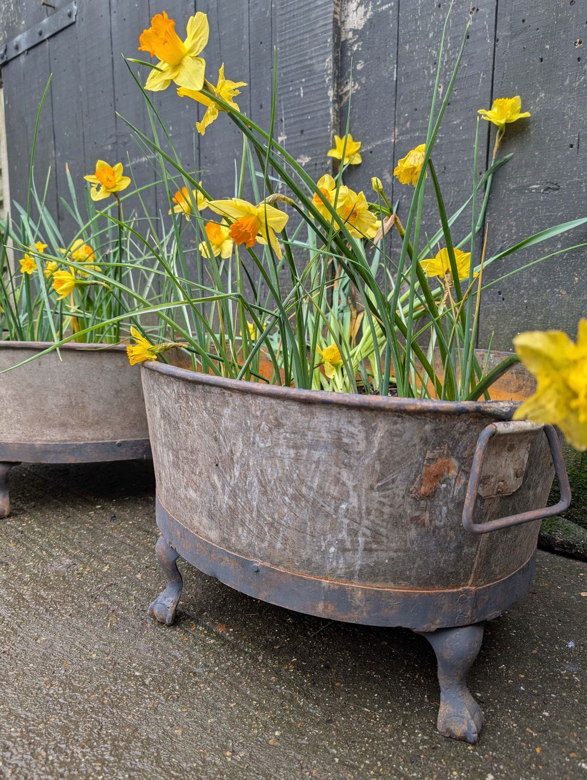 A Pair Of Oval Garden Planters photo Garden Decor