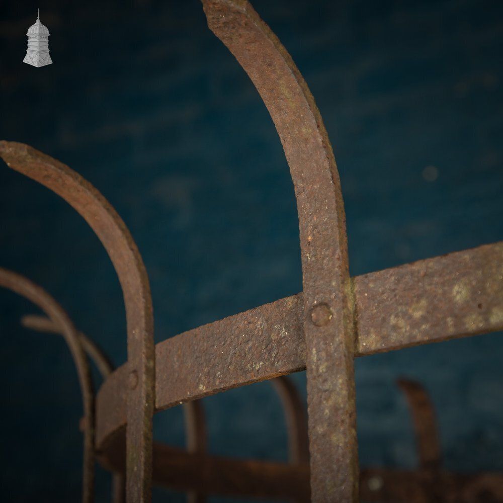 Tree Guard, Wrought Iron photo buy