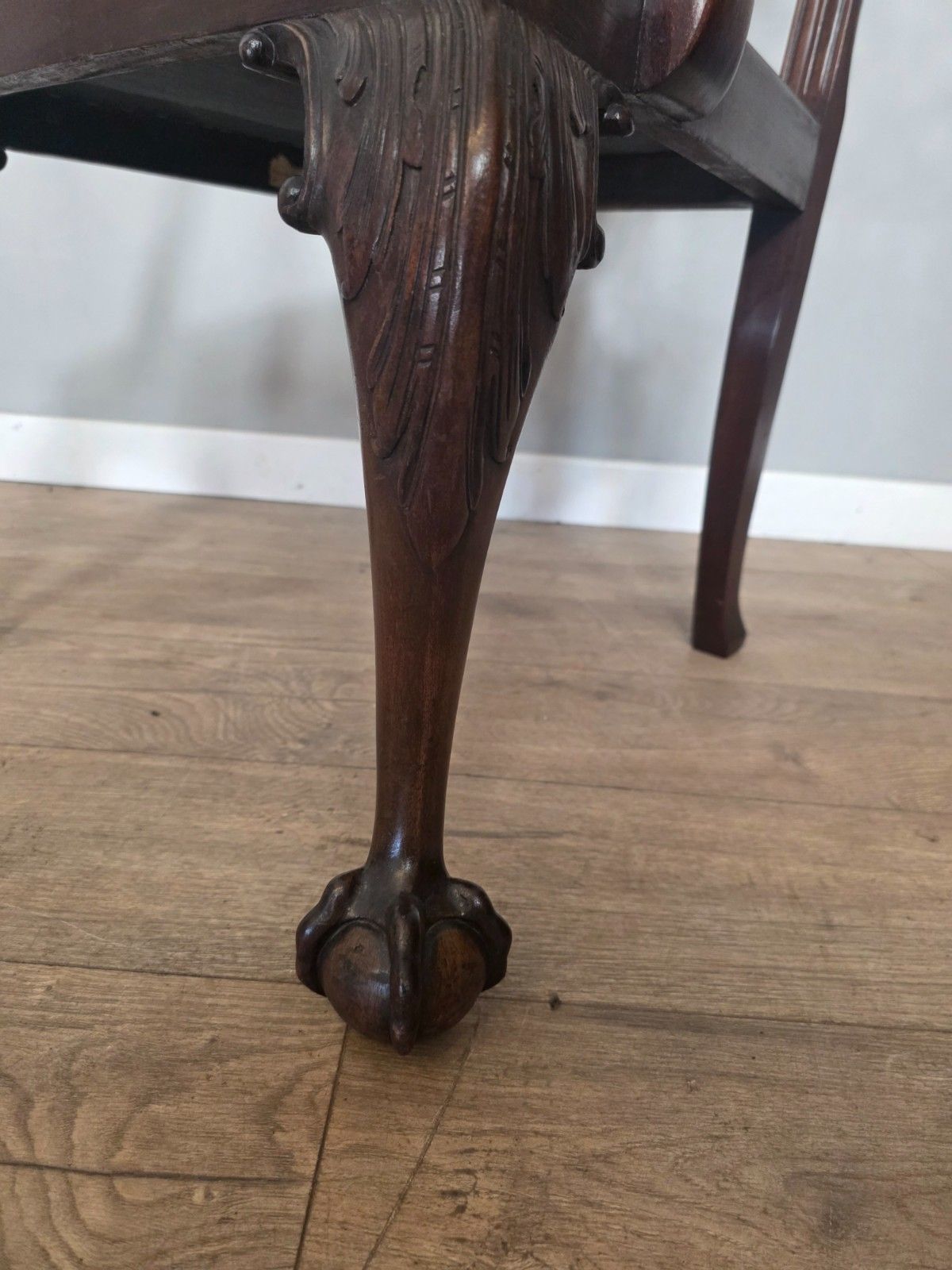 Antique Chippendale Style Mahogany Dining Chairs With Ball & Claw Feet 1910 photo buy