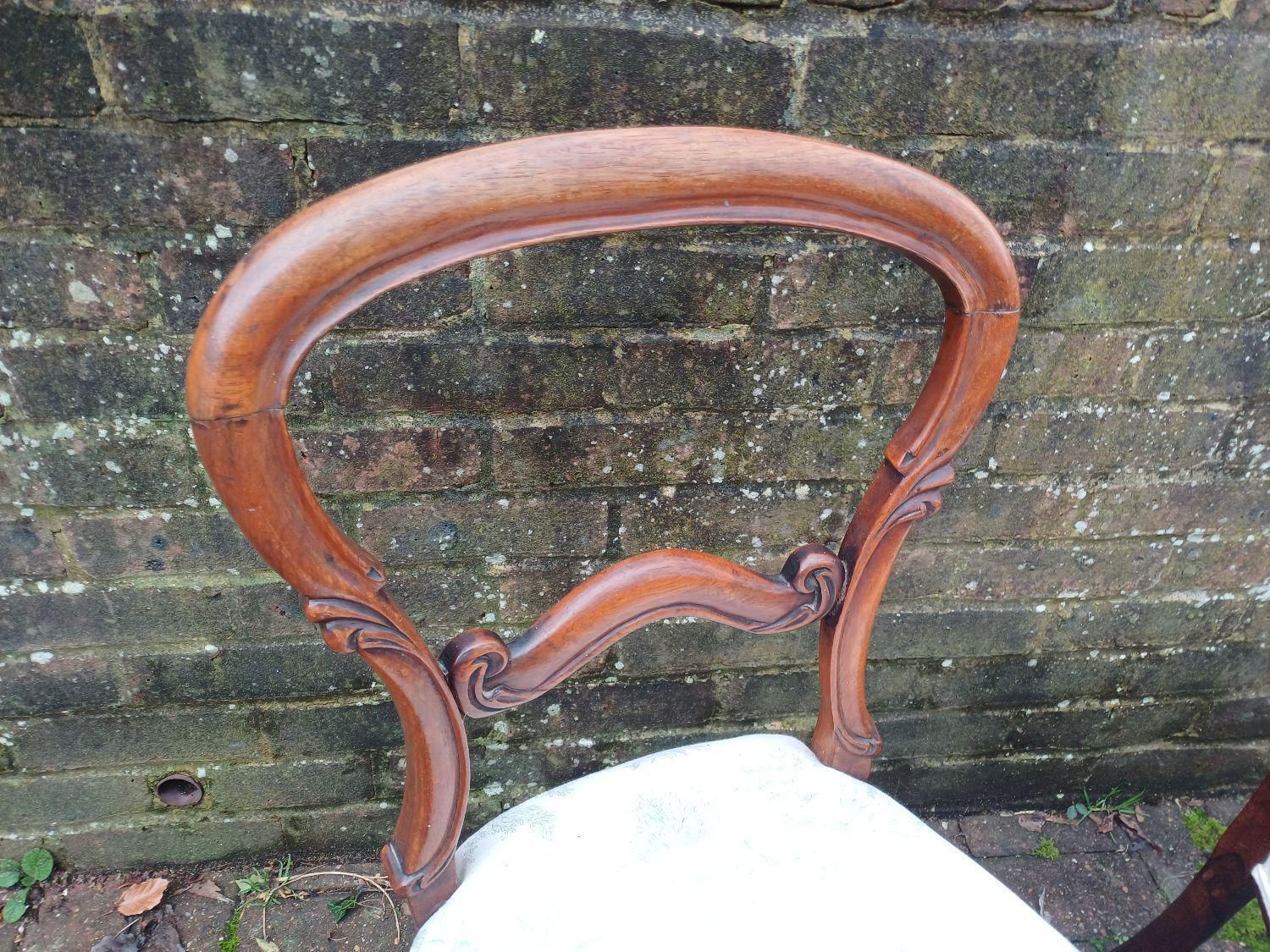 Top Quality Pair Antique Rosewood Balloon Back Dining Chairs Victorian Style Upholstered Toile Seats Occasional Vintage photo Furniture