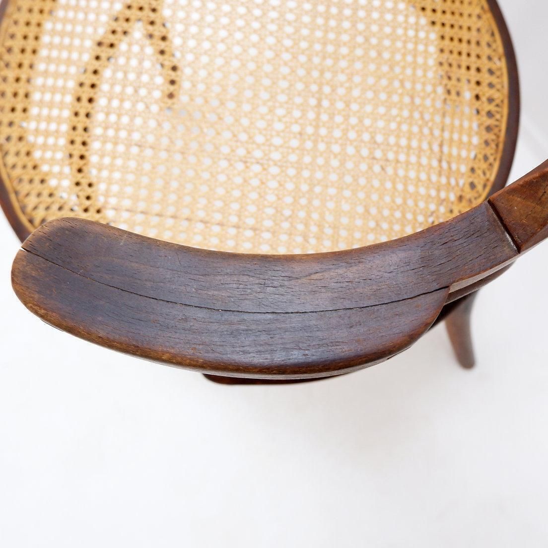Furniture Thonet Style Bentwood Chair, Stained Beech, Art Deco, 1950s Design photo