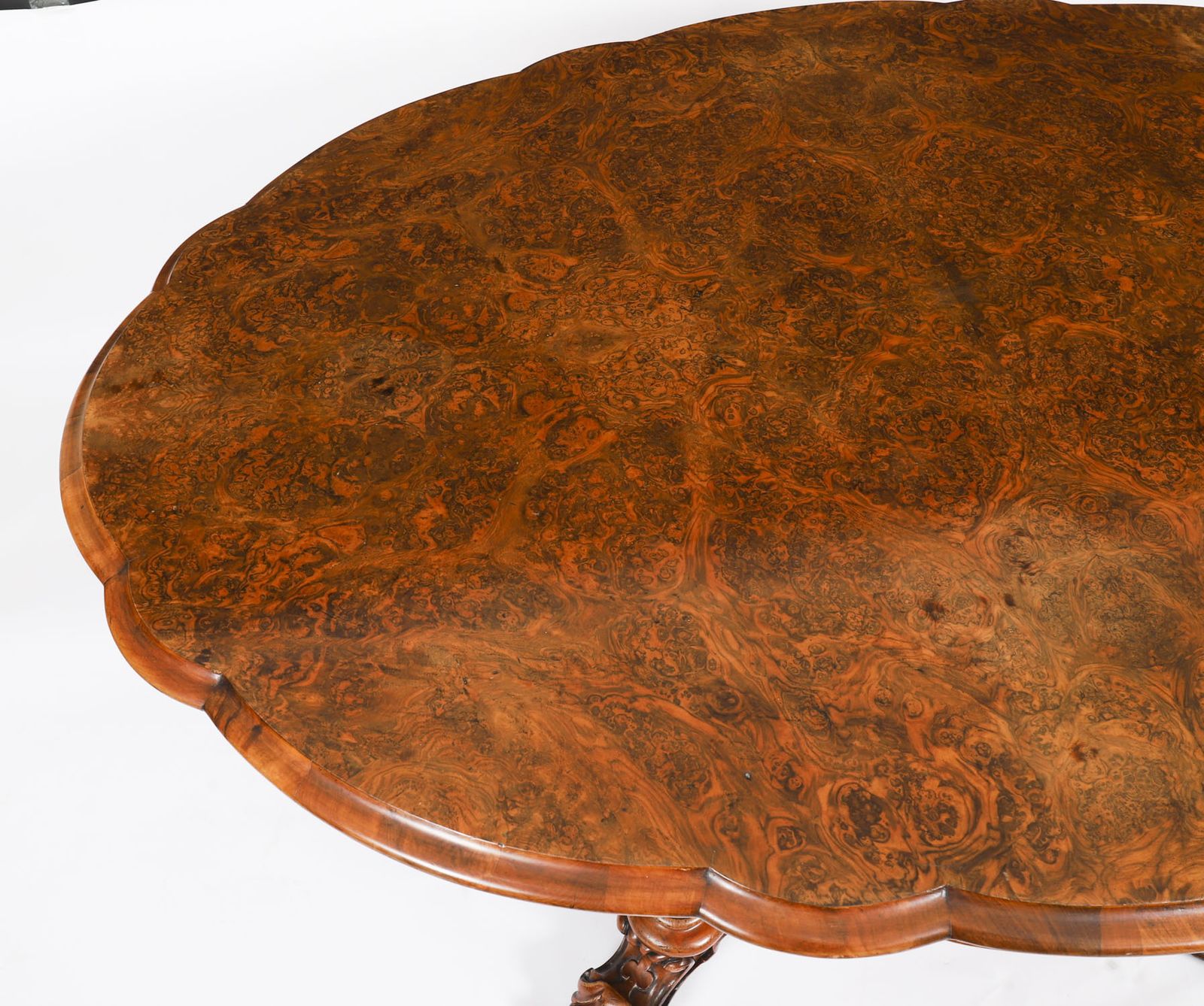 Antique Burr Walnut Oval Tilt Top Loo Dining Table Circa 1860 19th Century photo vinterior