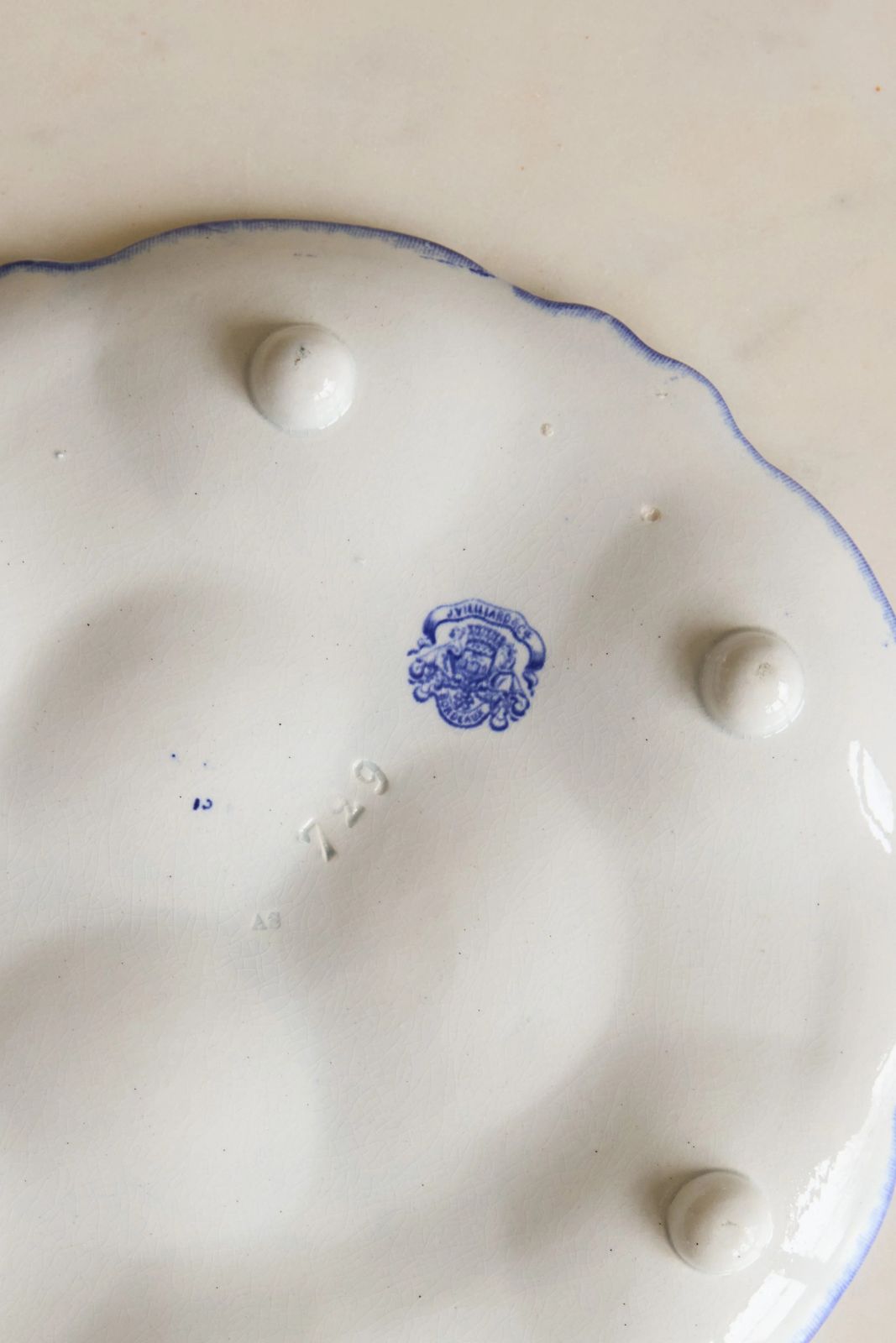 Rare French Oyster Plates, J. Vieillard & Cie Bordeaux photo 216.0