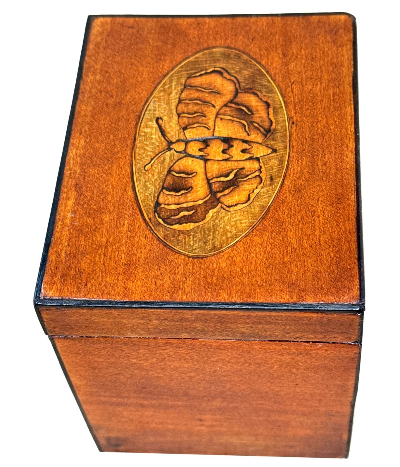 Georgian 18th Century Satinwood Tea Caddy Butterfly Inlay (England, Circa 1790) photo for sale