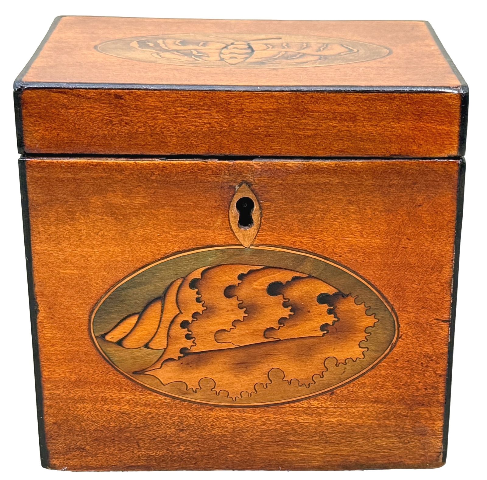 995.0 Georgian 18th Century Satinwood Tea Caddy Butterfly Inlay (England, Circa 1790) photo