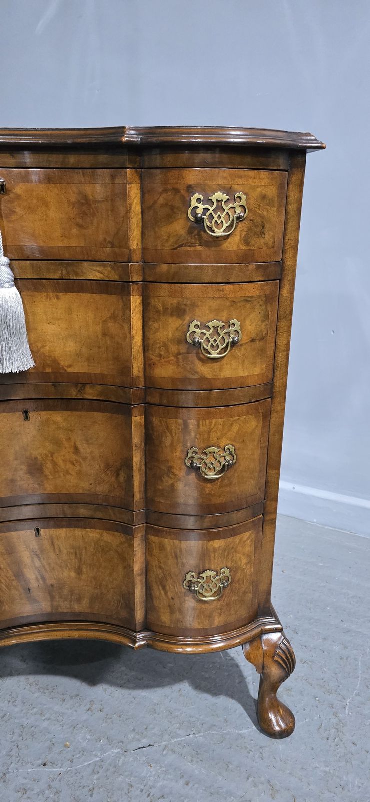1295.0 Outstanding Concave Walnut Chest Of Drawers photo