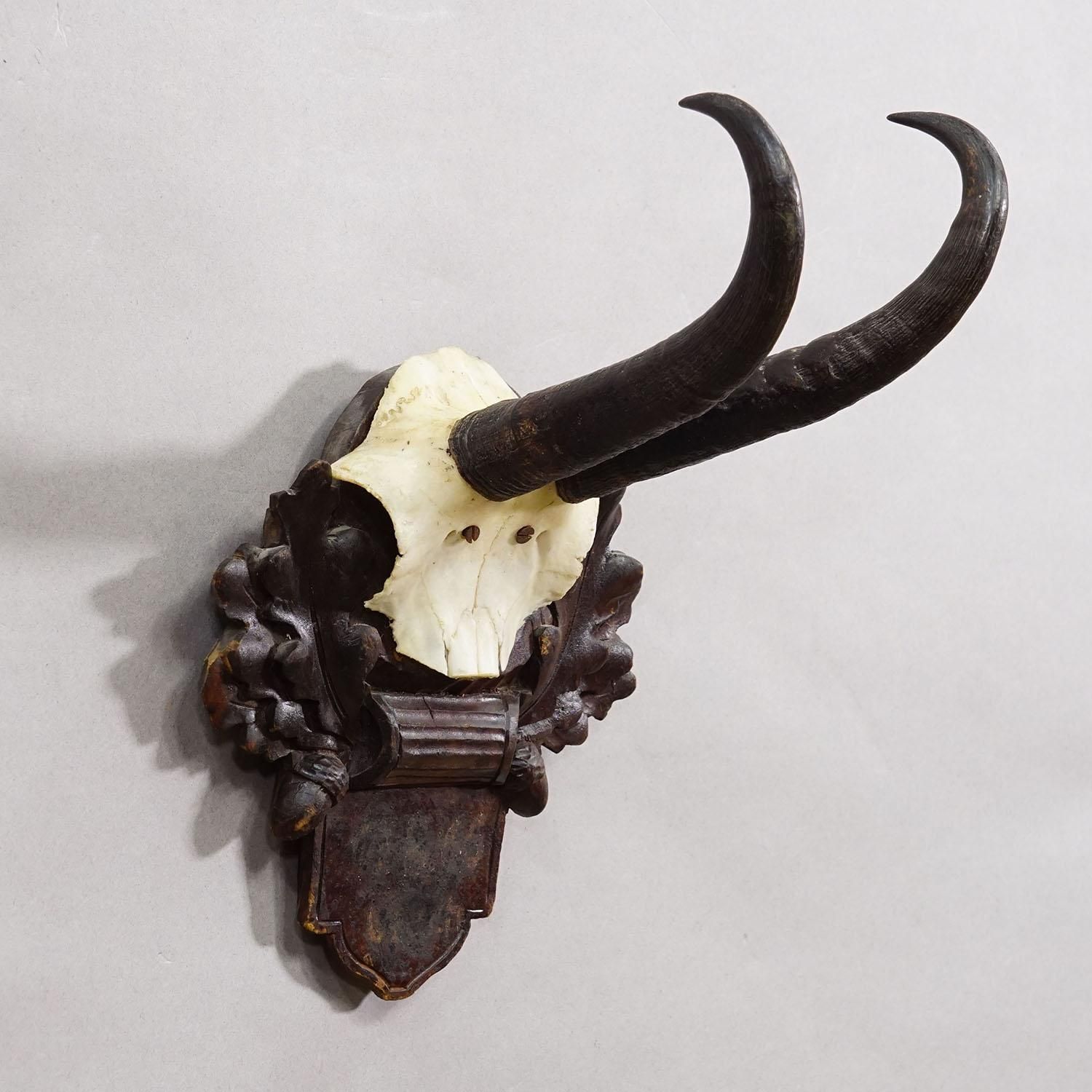 Antiek Gems­Trofee Op Gesneden Plaquette, Duitsland, Ca. 1900 photo for sale