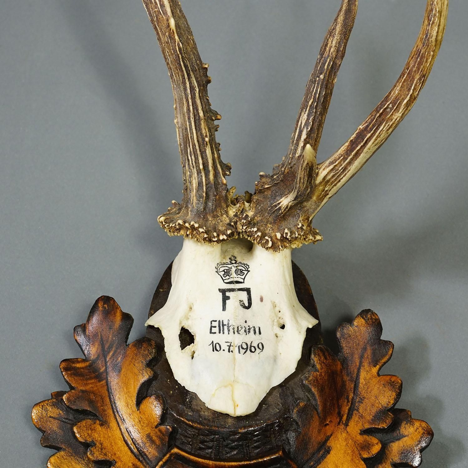 Red Deer Trophy By Franz Joseph, Prince Of Thurn And Taxis, 1969 photo buy
