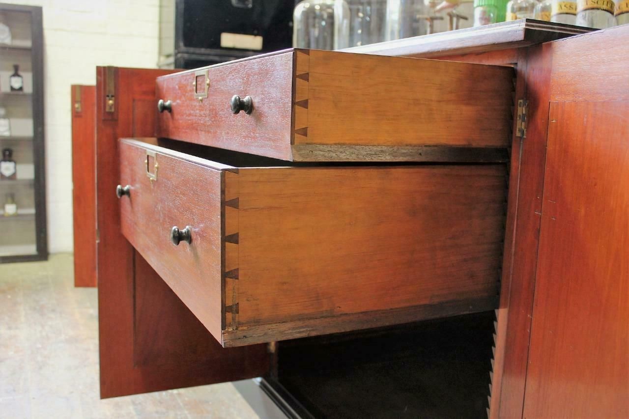 Shop Counter/Museum Cabinet/Kitchen Island From Cambridge Museum Of Zoology photo vintage