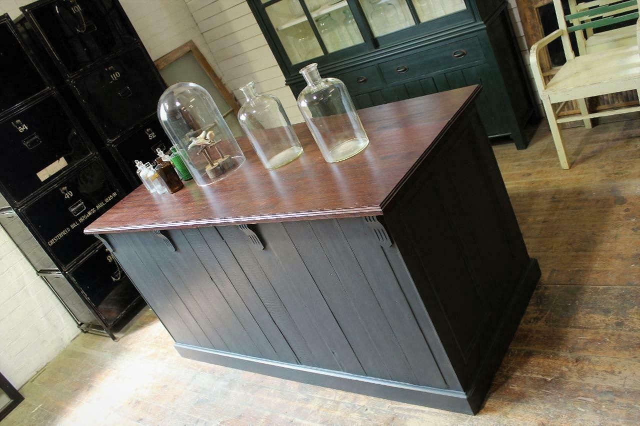 Furniture Shop Counter/Museum Cabinet/Kitchen Island From Cambridge Museum Of Zoology photo