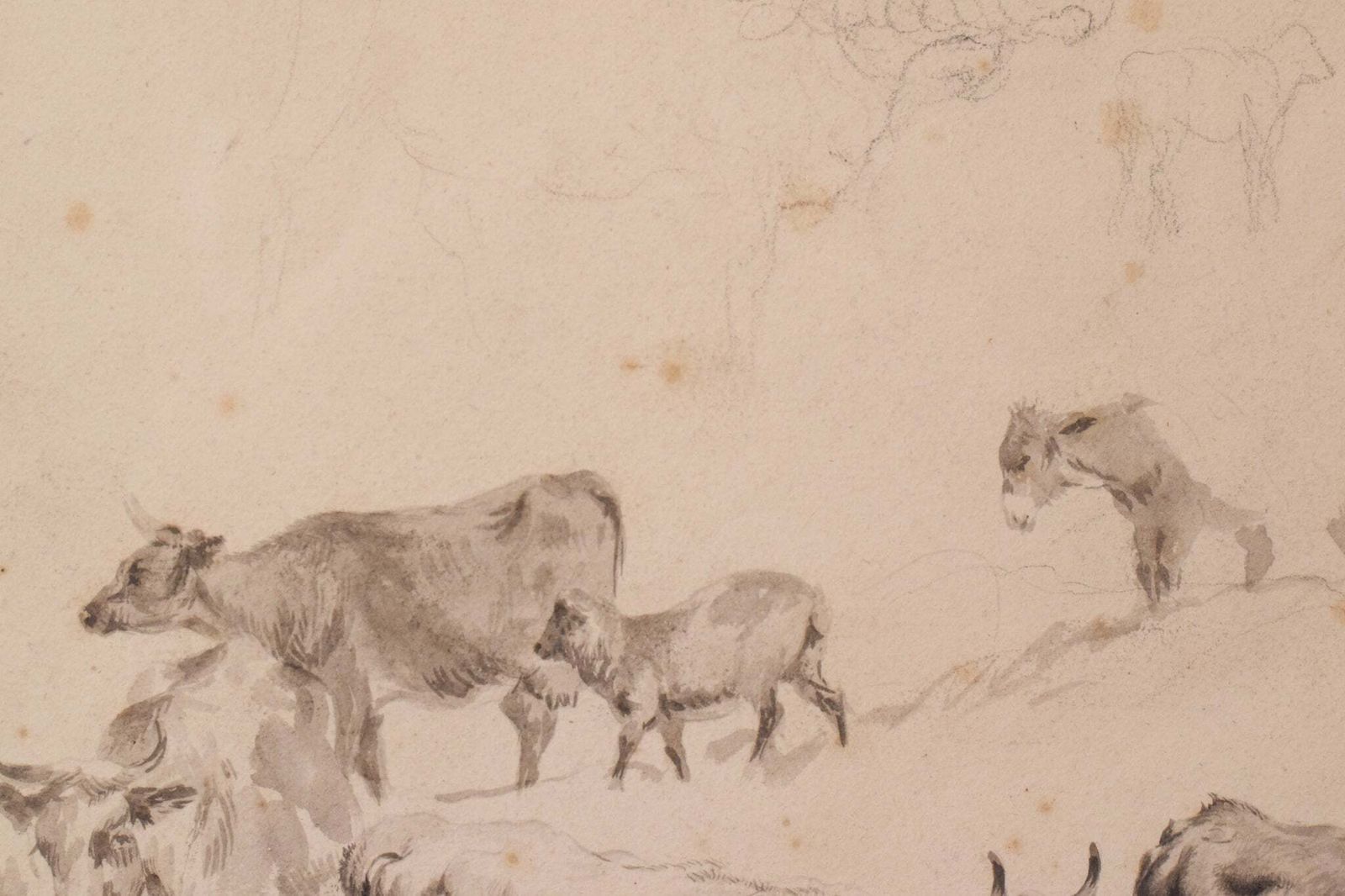 Studie Van Runderen En Schapen – Thomas Sidney Cooper Of Volgeling. photo buy