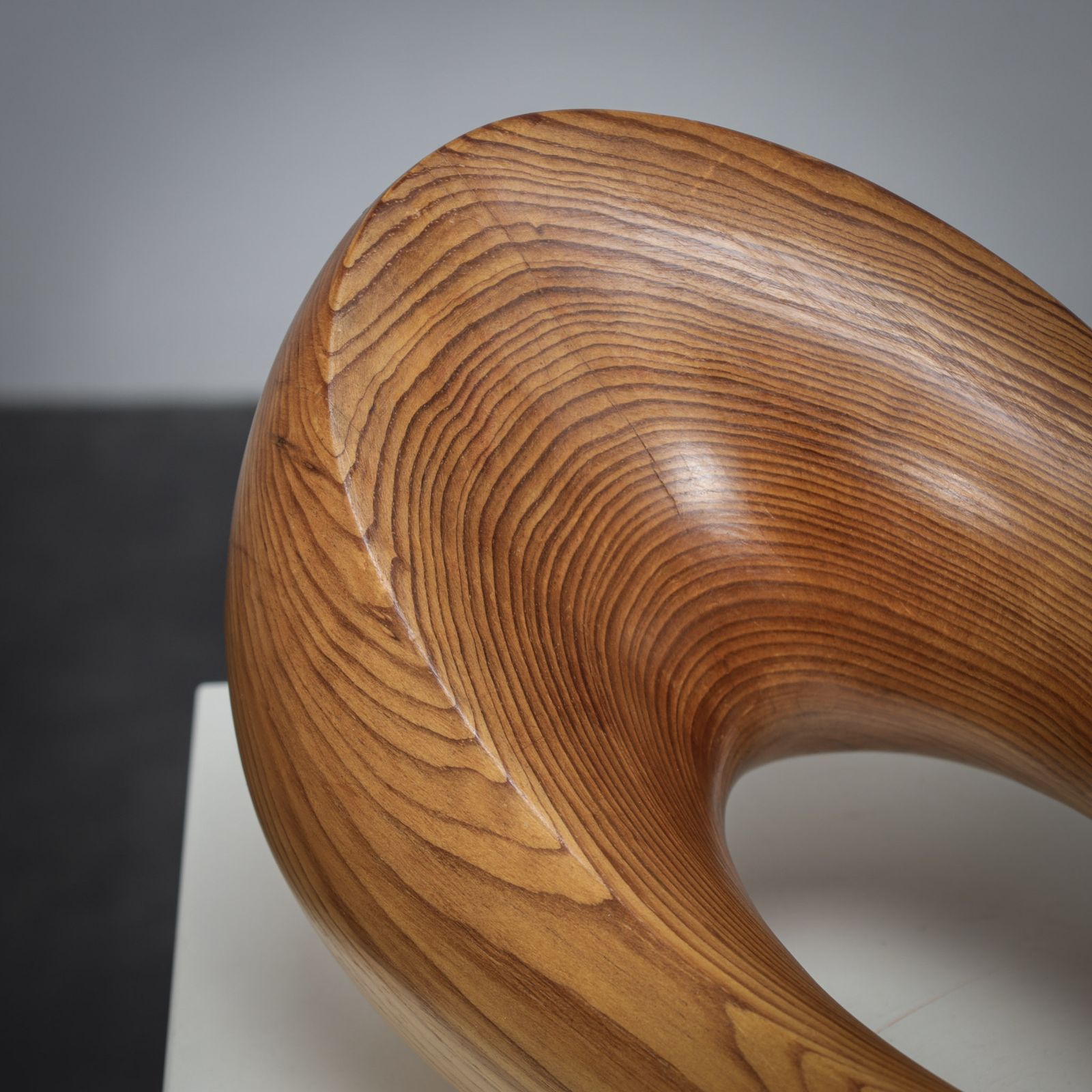 Flying Solo, Organic Sculptural Form By Ineke Van Zuuren, 1970s photo for sale