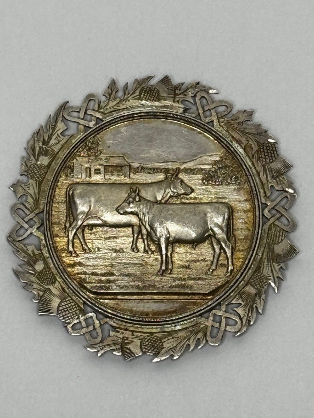 Victorian Scottish Silver Agricultural Prize Medal Ayrshire Cow & Calf Bull photo buy