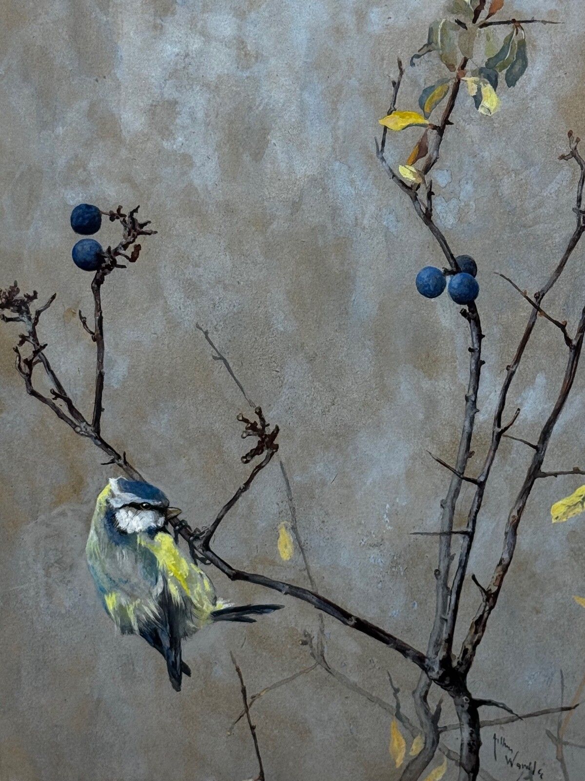 Victorian C1900 Antique Painting Apple Blossom Blue Tit Bird By Arthur Wardle photo furniture