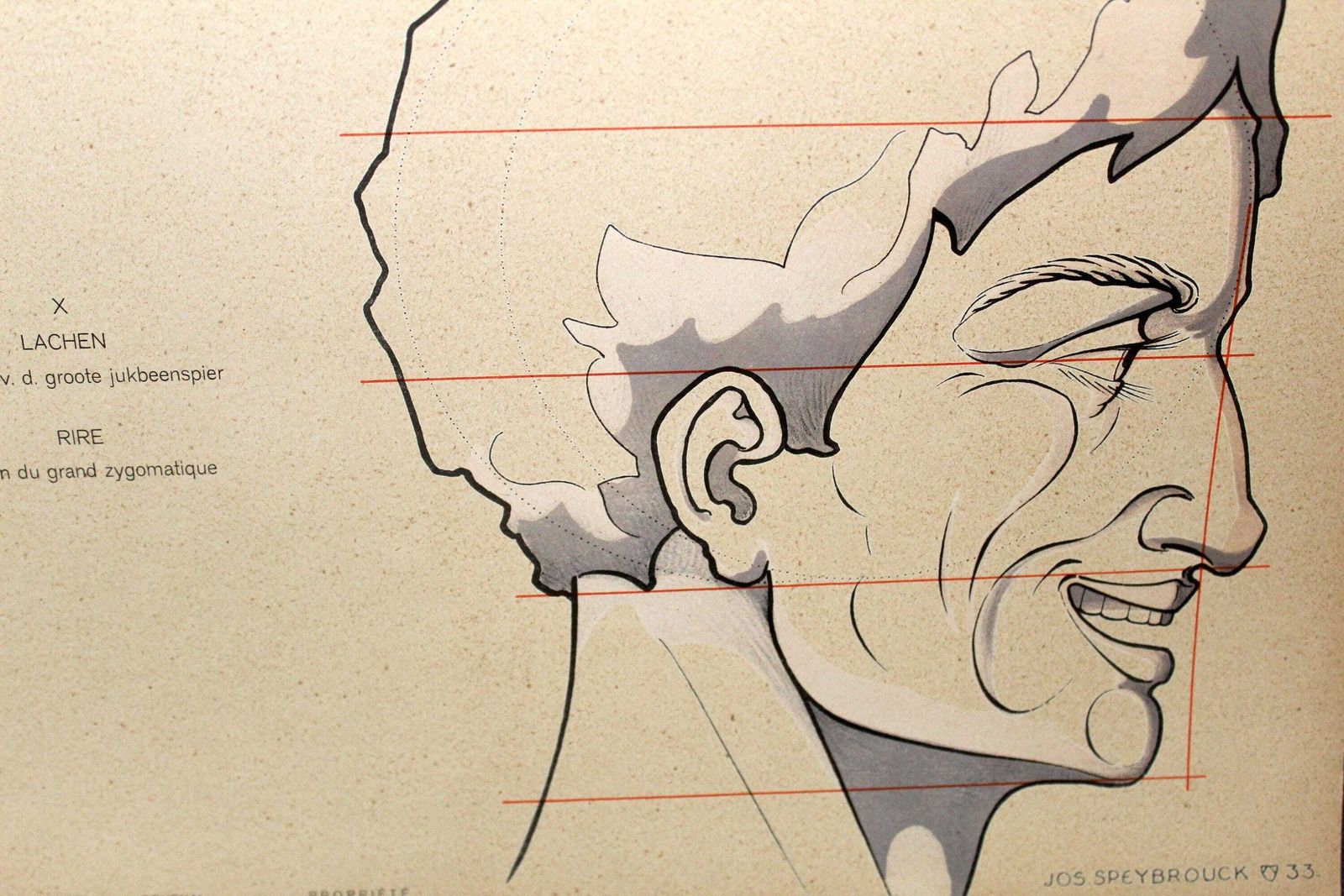 Set Van Twee Grote Art Deco Anatomieprenten – Spiergezicht En Gezichtsuitdrukkingen, Tekenleer, Speybrouck 1933 België Tournai, Wetenschap, Verzonden In Koker photo for sale