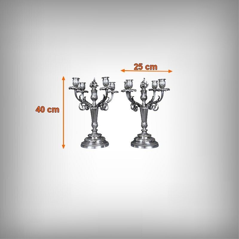 photo vinterior Pair Of Silvered Bronze Candelabra, Louis XVI Style – Late 19th Century