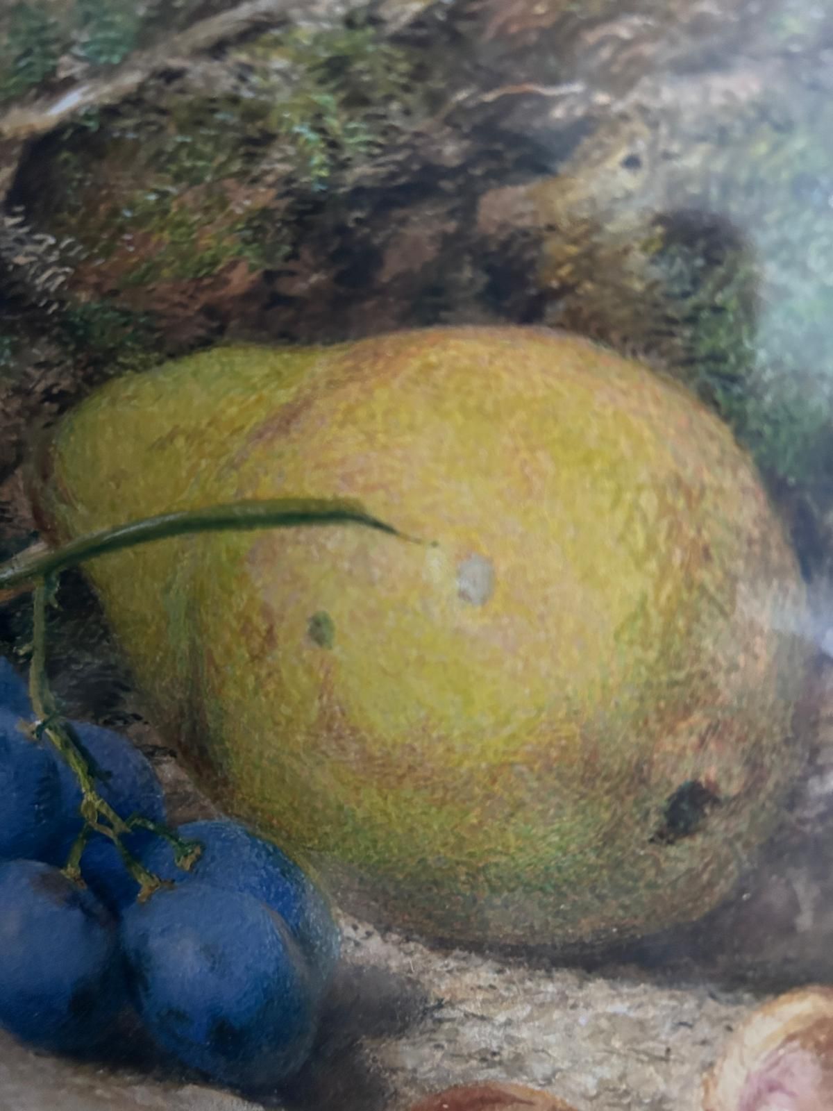 Early 19th Century Still Life Watercolour Still Life photo 80.0