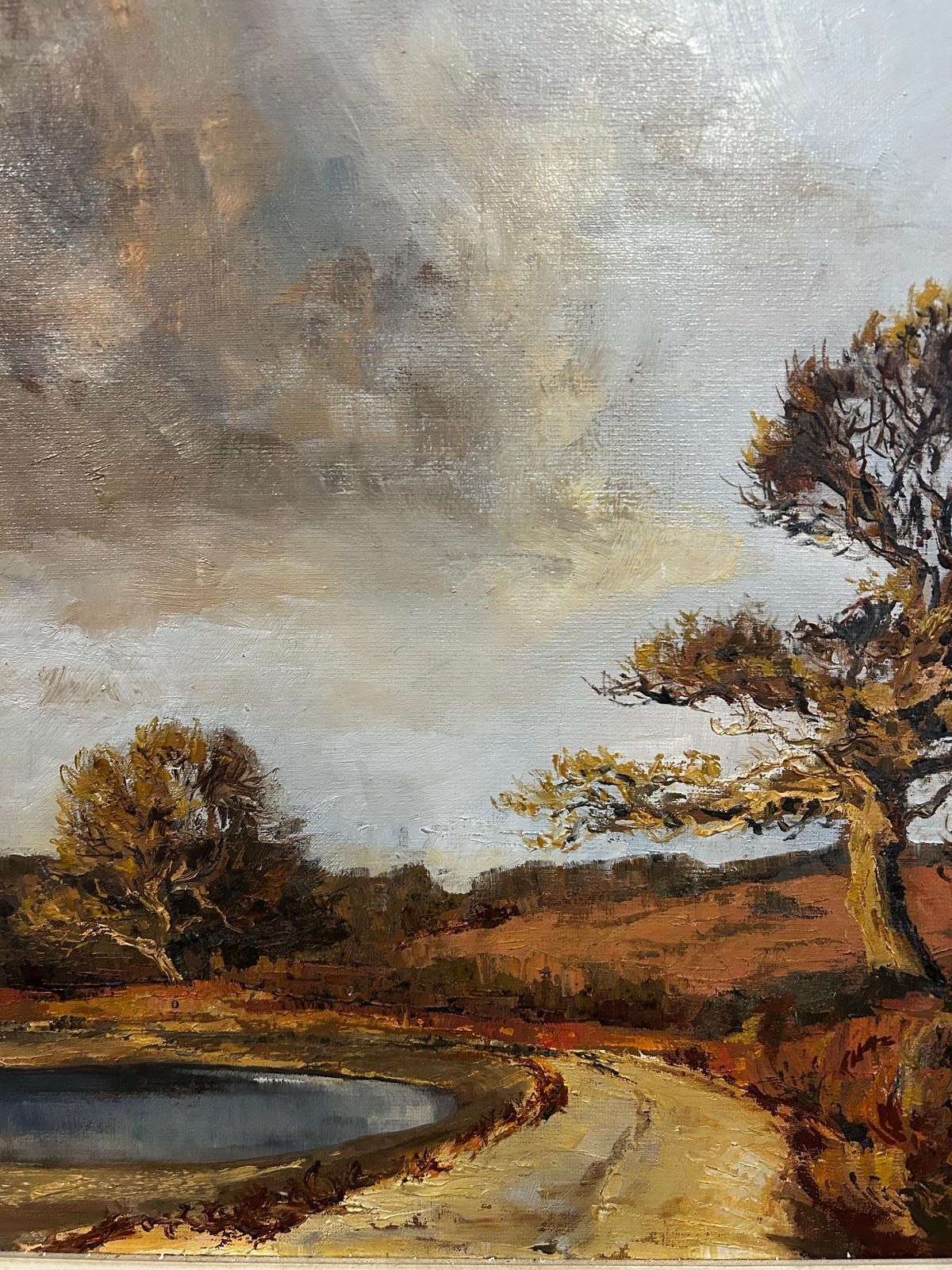 "Stomr Cloud" Mid Century Landscape Oil Painting By Jessica Bohannan Framed photo vintage