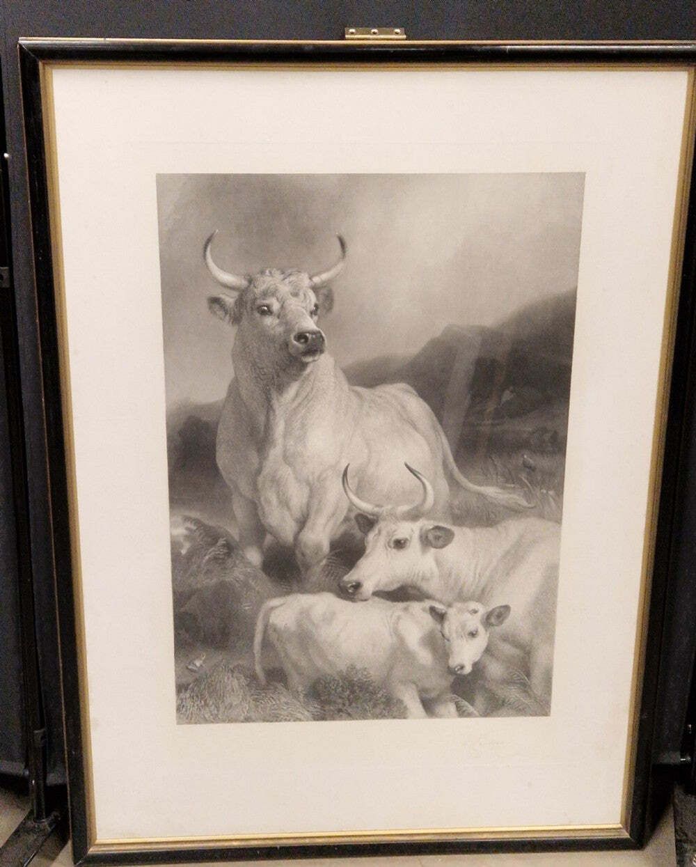 Sir Edwin Landseer Pra. Wild Cattle At Chillingham 1869 Etching Signed By Thomas Landseer