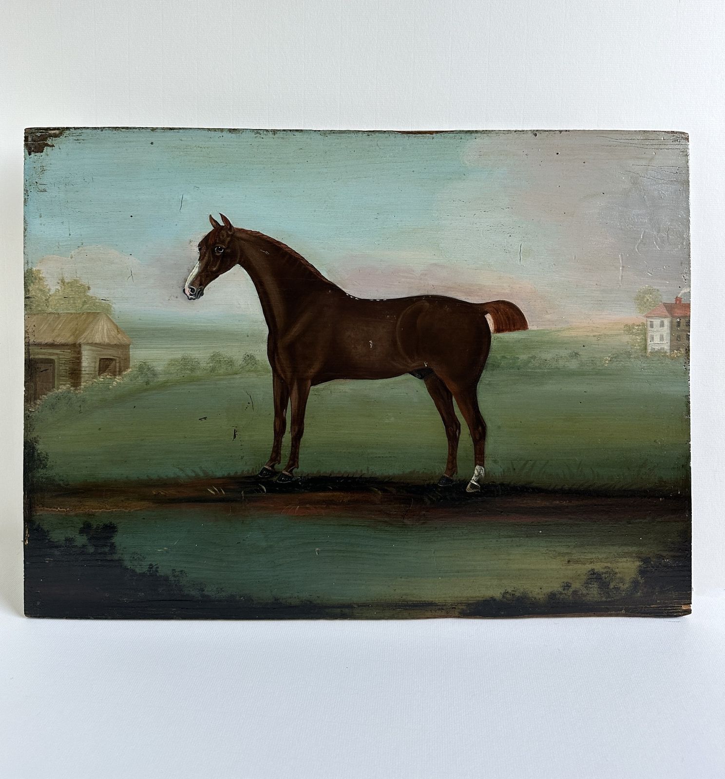 Portrait Of A Horse, 18th Century, Oil On Pine Panel, Signed photo for sale