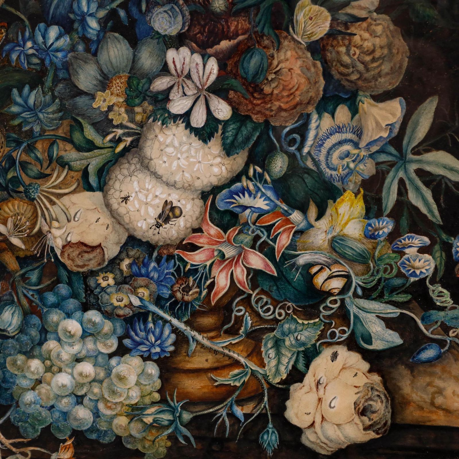 Framed 19th Century Watercolour Still Life With Flowers And Insects photo Art
