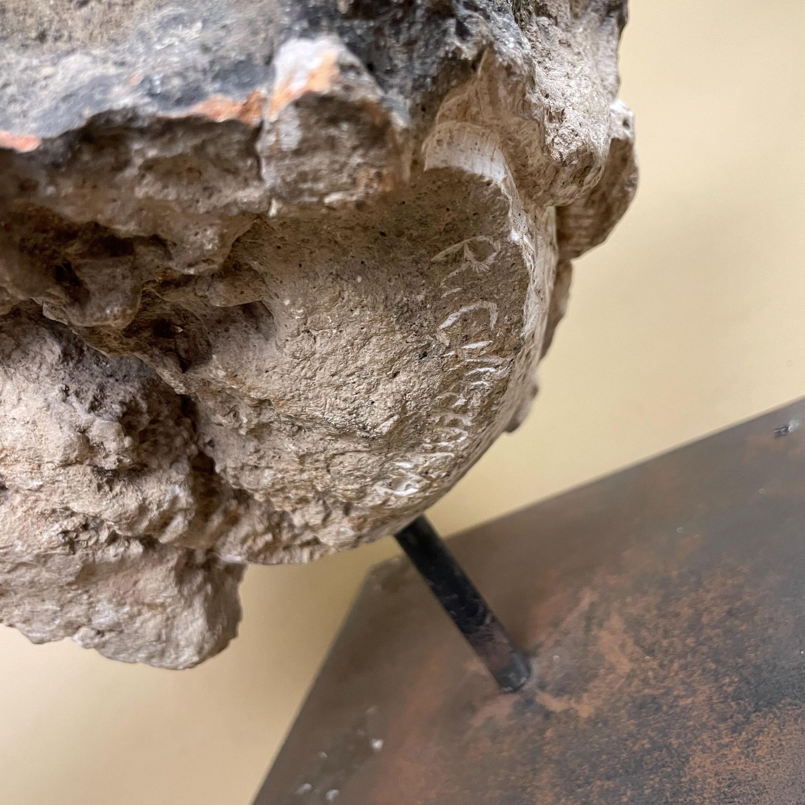 Home Decor Large Natural Fossil Rock Specimen On Metal Stand Heavy Display Piece Art Museum Decor Mineral Collection Curio Display Stone photo