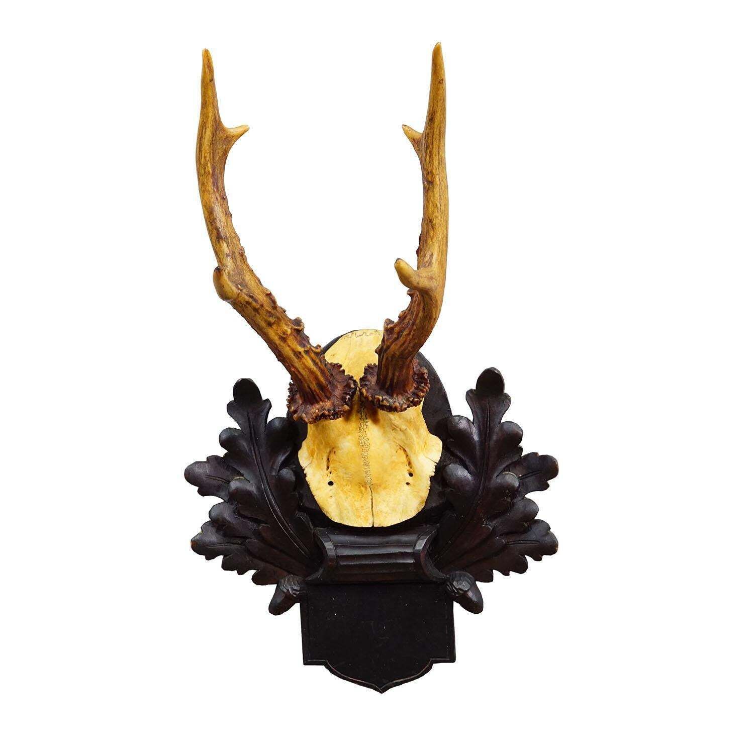 Antique Black Forest Red Deer Trophy On Carved Plaque, Germany 1900 photo furniture