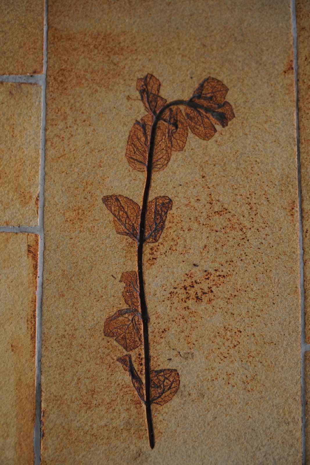Mid Century French Ceramic Tile Coffee Table By Roger Capron, Vallauris, 1960s photo vintage