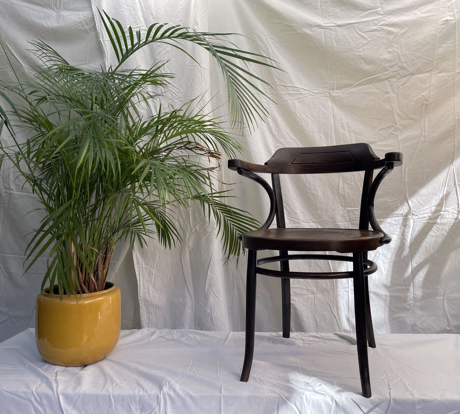 Art Nouveau Bistro Cafe Bentwood Armchair photo Furniture