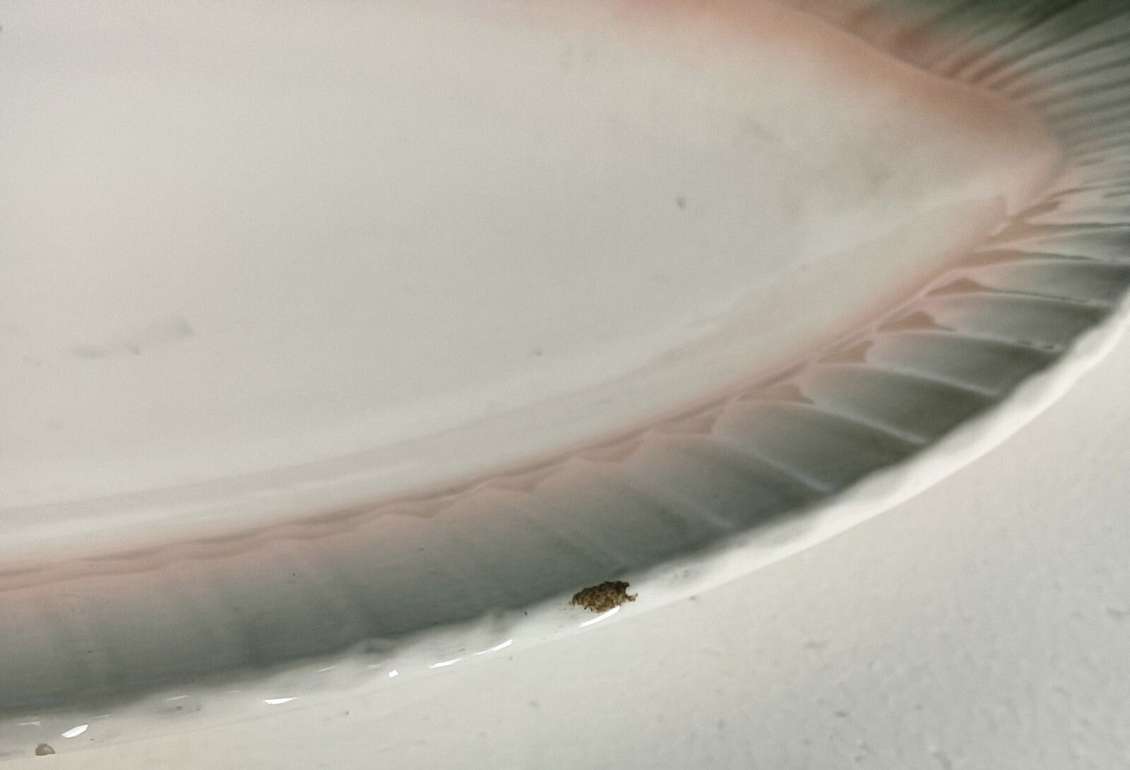 French Antique  Sarreguemines Digoin Fish Design Shape Large Serving Plate Seafo photo 134.0