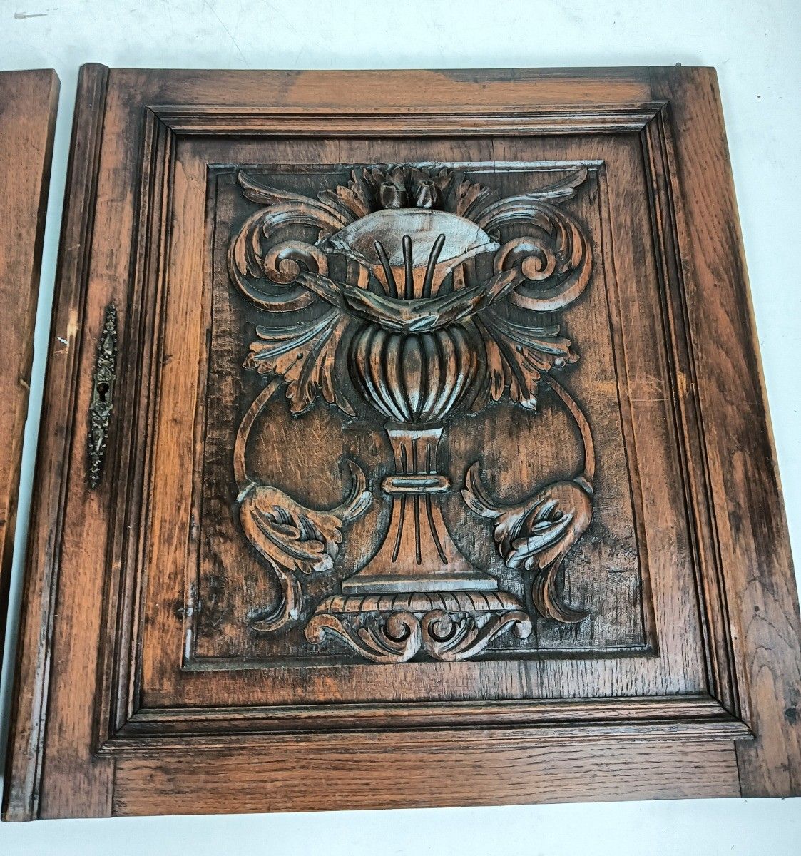 Pair Antique Door Panels Doors Cabinet Reclaimed Architectural Vase Flowers Bas photo Home Fixtures
