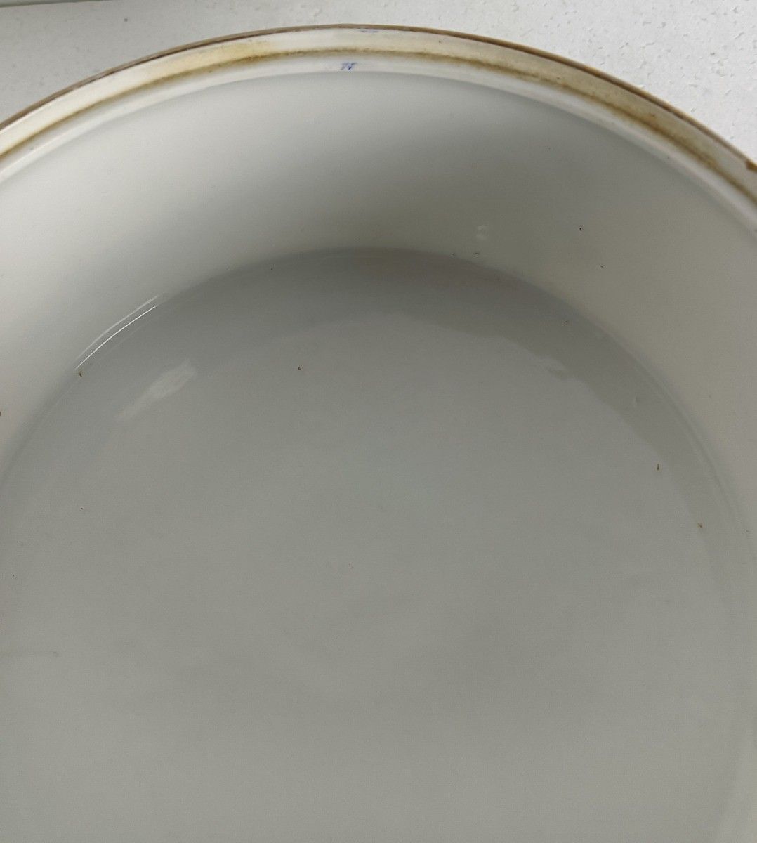 Victorian Antique Hand Painted Porcelain Serving Bowl Jardiniere Flower Pot Faux photo 225.0