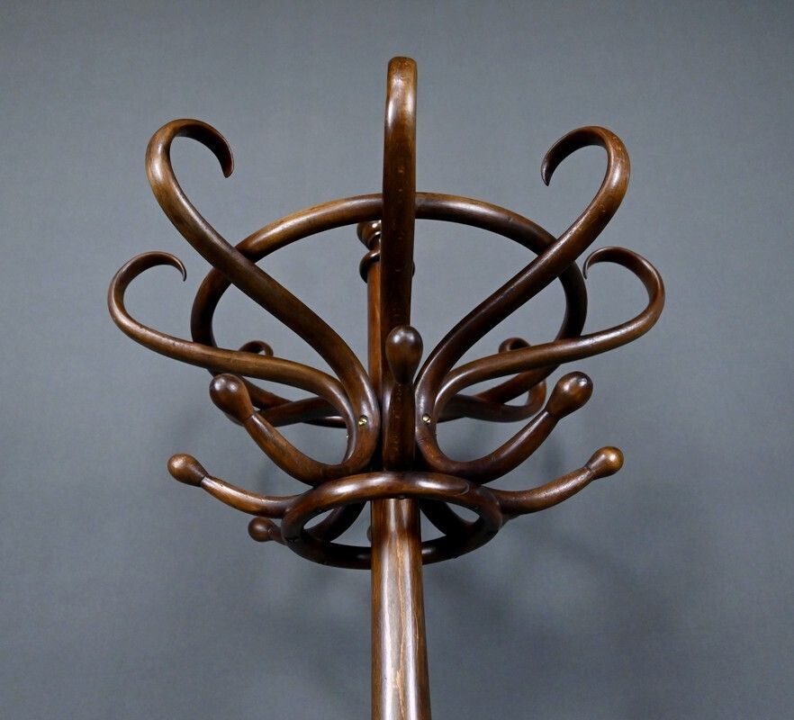 Parrot Coat Rack In Beechwood – Early 20th Century photo vinterior