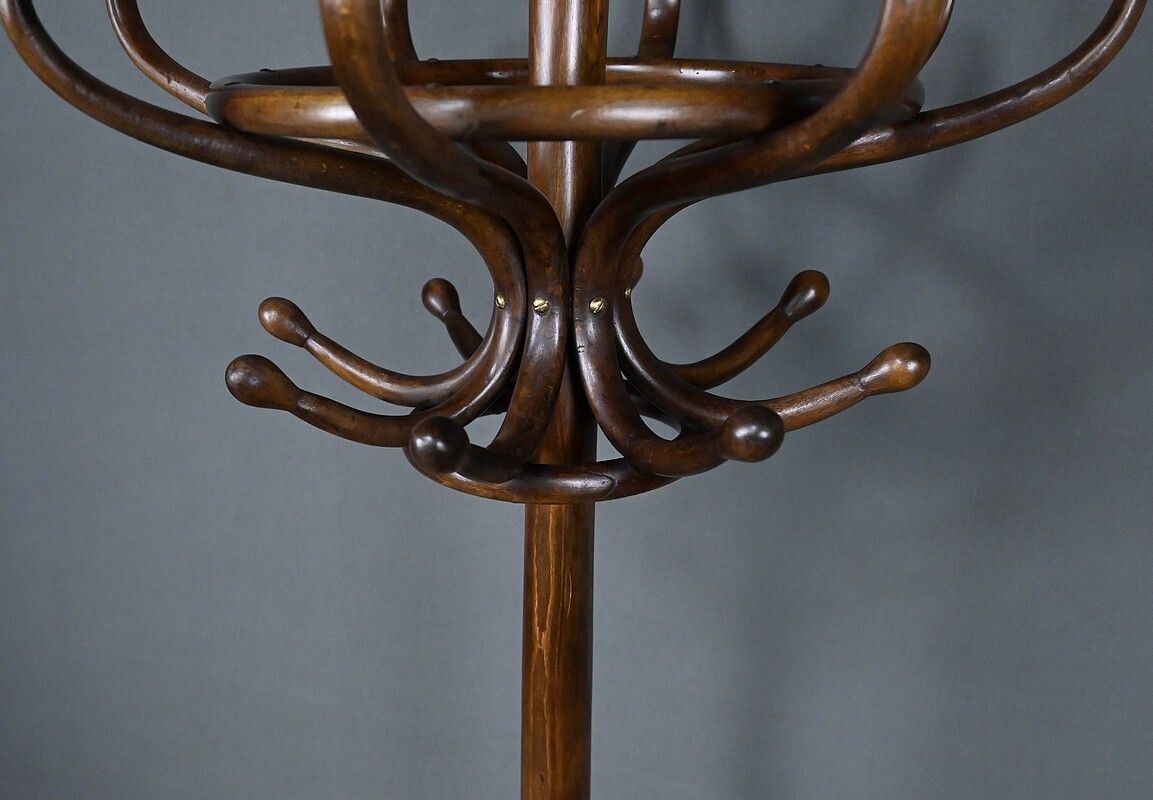 Parrot Coat Rack In Beechwood – Early 20th Century photo buy