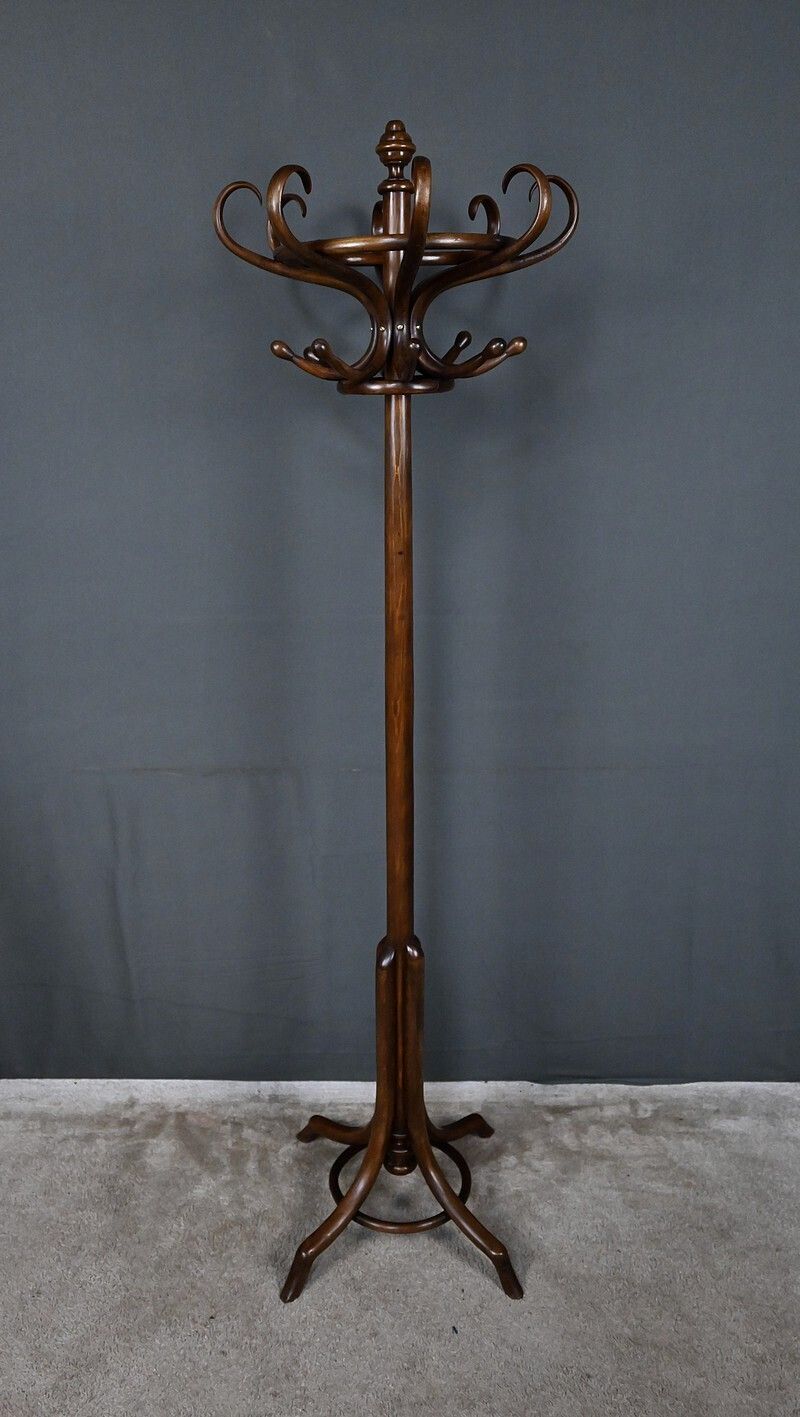 Parrot Coat Rack In Beechwood – Early 20th Century photo vintage