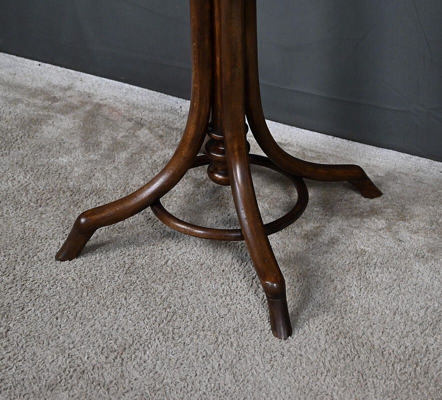 Furniture Parrot Coat Rack In Beechwood – Early 20th Century photo